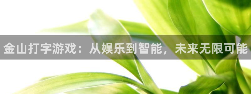 欧陆娱乐4招商：金山打字游戏：从娱乐到智能，未来无限可能